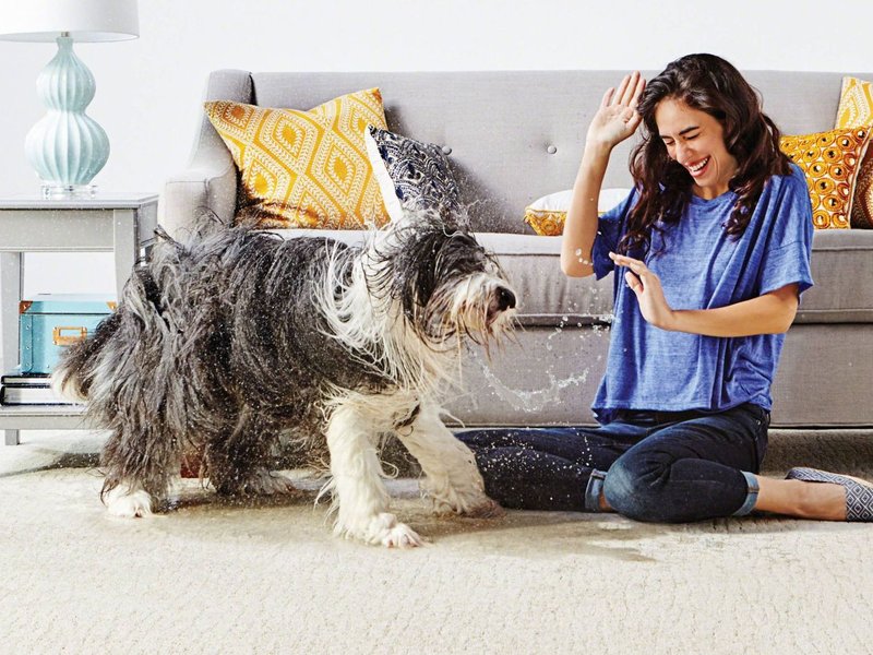 Woman in living room with dog - Flooring Source in the Auburn, MA area